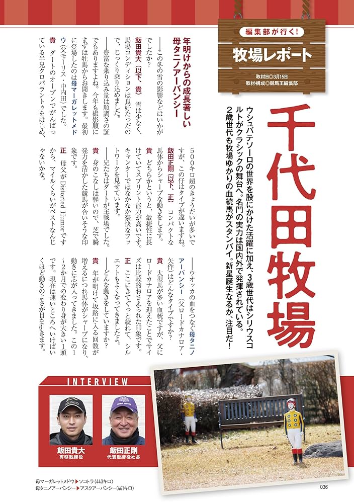 競馬王のPOG 競馬王のPOG本 2024-2025 (GW MOOK 897) | 競馬王編集部 |本